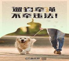 禁止遛狗宣传标语